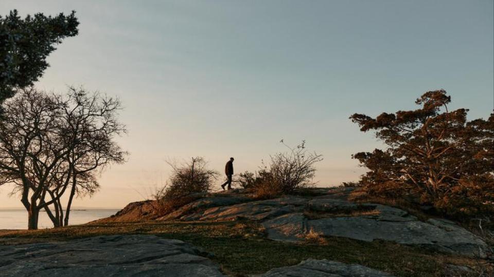 Still of a character in nature from the Mystic Film Festival submission "Caravan."