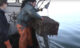 Featured image from the Mystic Film Festival submission "Tackling Pollution in Long Island Sound: Marine Debris."