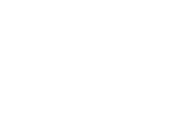 Olde Mistick Village Logo